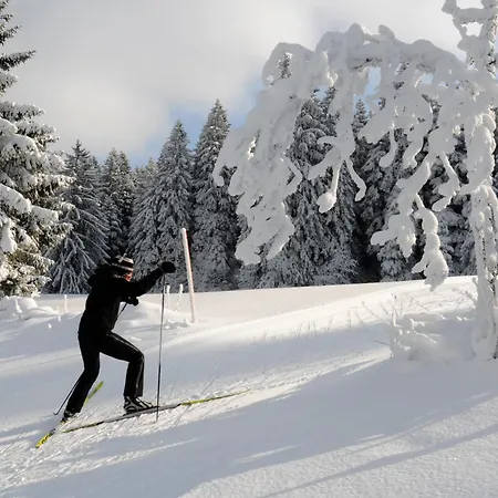 De La Truite - Vallee De Joux Otel 3*