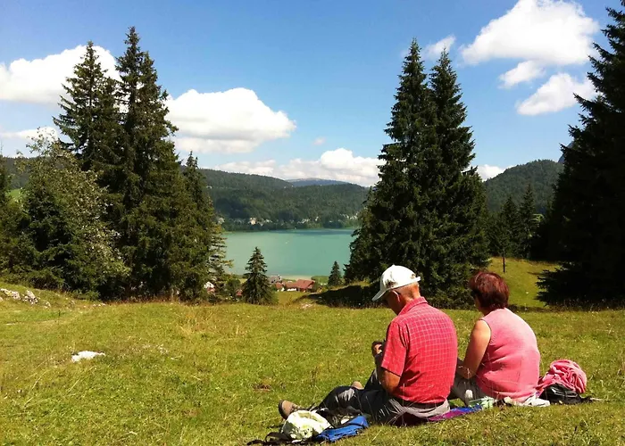 Hotel De La Truite & Le Petit Nautilus 3*