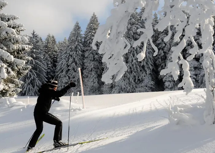 De La Truite & Le Petit Nautilus Hotel 3*